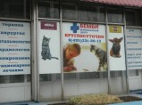 Ветеринарная клиника в Ясенево / Москва