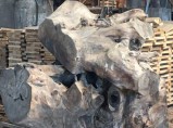 Слэбы от производителя из дуба, шпальтового бука, капового тополя, вербы, / Москва