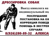 Дрессировка собак, собачий психолог, с выездом на дом. / Троицк