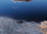 Продам охотхозяйство 140 000 Га Алтайский край / Балашиха