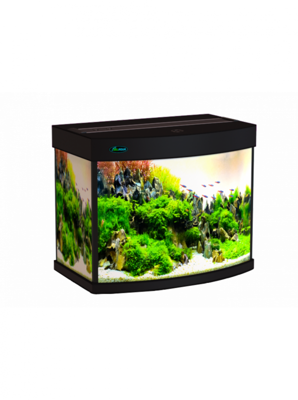 Ferplast стеклянный аквариум capri 50 led. Аквариум cayman 110 230l. Дешевый аквариум москва. Аквариум 200 литров. Аквариум ферпласт кайман 80.
